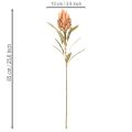 Sztuczny kwiat Protea Leucadendron na długiej łodydze, 65 cm, 3 sztuki | Floristik24.pl