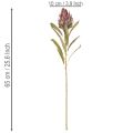 Kwiat sztuczny protea Leucadendron 100cm 3szt | Floristik24.pl