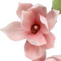 Floristik24 Magnolia sztuczna jasnoróżowa 70cm