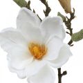 Floristik24 Magnolia biały sztuczny kwiat z pąkami na ozdobnej gałązce W40cm