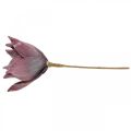 Floristik24 Sztuczny kwiat magnolii fioletowy kwiat piankowy Ø10cm 6szt