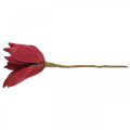 Floristik24 Sztuczna magnolia czerwona sztuczna dekoracja kwiatowa z pianki kwiatowej Ø10cm 6szt