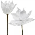 Floristik24 Sztuczny kwiat magnolii biały sztuczny na patyku Ø10cm Pianka 6szt