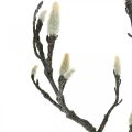 Floristik24 Wiosenna gałąź Magnolia Bud Sztuczna gałąź Brązowa biała L100cm