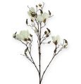 Floristik24 Gałązka magnolii biała 110cm