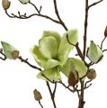 Floristik24 Gałązka magnolii zielona L110cm