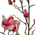 Floristik24 Gałązka magnolii fioletowa 110cm 1szt.