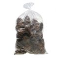 Szyszki Maritima 14/18 naturalne 25 szt | Floristik24.pl