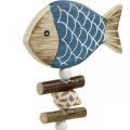 Floristik24 Zatyczka do dekoracji marynistycznej, rybki i muszelki na patyku, dekoracja morska, drewniana rybka 6szt.