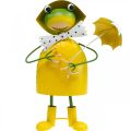 Floristik24 Żaba dekoracyjna figura dekoracja ogrodowa żaba deszczowa metalowa wys.35cm