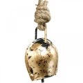 Floristik24 Metalowe dzwonki do zawieszenia, dekoracja wiejskiego domu, złote krowie dzwonki, antyczny wygląd 5 × 3,5 cm 12 sztuk