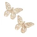 Floristik24 Mini motyle metalowe dekoracje w kropki złote 3cm 50szt