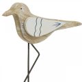 Floristik24 Drewniana mewa, dekoracja morska, przybrzeżny ptak Shabby Chic, niebiesko-biały W25cm