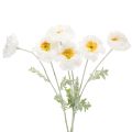 Floristik24 Mak sztuczny, biały, długa łodyga, 78cm, 3 sztuki