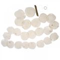 Girlanda z masy perłowej Girlanda z muszli Capiz 195cm | Floristik24.pl