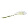 Floristik24 Orchidea biała sztuczna L73cm 4szt.