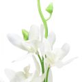 Floristik24 Storczyki sztuczne Oncidium sztuczne kwiaty białe 90cm