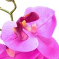 Floristik24 Sztuczna orchidea Phalaenopsis Orchid Pink 78cm