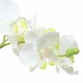 Floristik24 Orchidee White in Pot Artificial Plant H35cm