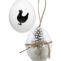 Floristik24 Dekoracja wielkanocna, jaja kurze do zawieszenia, jaja dekoracyjne z piórami i kurczakiem, brązowy, niebieski, biały zestaw 6 sztuk