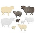 Floristik24 Dekoracja rozproszona owce różne 2cm - 6cm drewno 90szt