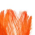 Floristik24 Włókno palmowe pastelowe jasnopomarańczowe 400gr