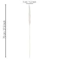 Suszone kwiaty trawy pampasowej bielone 70cm 15szt | Floristik24.pl