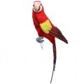 Floristik24 Papuga dekoracyjna czerwona 44cm