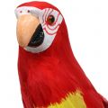 Deco Parrot Red 44cm