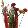 Floristik24 Bukiet z suszonych kwiatów z kwiatami łąkowymi różowy zestaw DIY H30-35cm