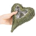 Roślinne serce z materiału naturalnego z wkładem foliowym, 22 cm, 2 sztuki | Floristik24.pl
