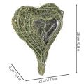 Naturalne serce roślinne do florystyki z folią, 25cm | Floristik24.pl