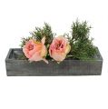 Floristik24 Wooden Planter Box Grey 30cm x 9,5cm x 6cm