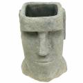 Floristik24 Planter Head Moai Bust Grey H28cm