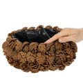 Okrągła miska do sadzenia w kształcie szyszki, 30 cm | Floristik24.pl