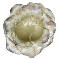 Floristik24 Kwiat róży do posadzenia, florystyka pogrzebowa, róża kamienna, dekoracja betonu Szary, Morelowy, Fioletowy Ø11cm L22cm H9cm