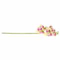 Floristik24 Orchidea sztuczna gałązka Phaelaenopsis zielono-różowa H49cm