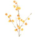 Floristik24 Sztuczna roślina w kształcie lampionu chińskiego, gałązka Physalis z kwiatami, 95 cm