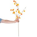 Sztuczna roślina w kształcie lampionu chińskiego, gałązka Physalis z kwiatami, 95 cm | Floristik24.pl