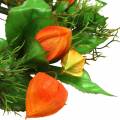 Sztuczny wianek z miechunki, pomarańczowo-zielony, Ø28 cm, jesienna dekoracja | Floristik24.pl