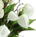 Floristik24 Physalis krzew biały 30cm