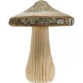 Floristik24 Drewniana kora grzyba i brokatowe grzyby dekoracyjne drewno wys. 8,5 cm 4szt