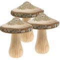 Floristik24 Drewniana kora grzyba i brokatowe grzyby dekoracyjne drewno W11cm 3szt