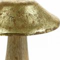 Floristik24 Mushroom mango wood gold, naturalne grzyby dekoracyjne duże Ø12cm H15cm 2szt