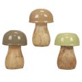Floristik24 Grzyby drewniane grzybki dekoracyjne drewniane beżowe, zielone Ø5cm 7,5cm 12szt