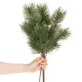 Sztuczna gałązka sosnowa jako dekoracyjna gałązka jodłowa, 55cm, 3 sztuki | Floristik24.pl