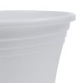 Floristik24 Doniczka plastikowa „Irys” biała Ø15cm W13cm, 1szt