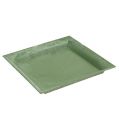 Floristik24 Talerz plastikowy zielony kwadratowy 26cm x 26cm