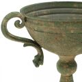 Floristik24 Puchar z uchwytami, kielich metalowy, Amfora do sadzenia roślin Ø14cm H18cm