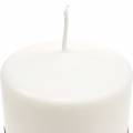 Floristik24 Świeca pieńkowa PURE Nature, zrównoważona naturalna świeca wykonana ze stearyny i wosku rzepakowego 90/70mm